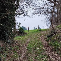Boucle N°2 Bois de la Roche | Garlan