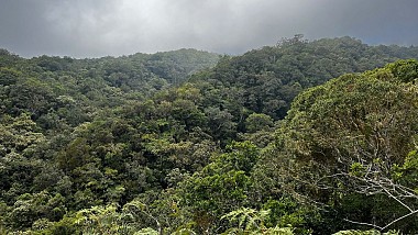 From Sans Souci to Deux Bras
