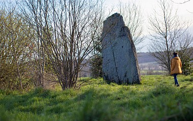 Circuit trail n°4 - Bois du Casse