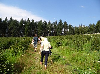 Circuit court des Lavoirs