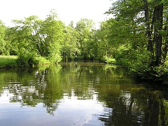 Circuit pédestre N°7 - "Grands Piniers"