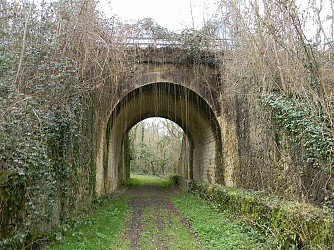 Circuit pédestre N°29 - "La forêt de châtaigniers"