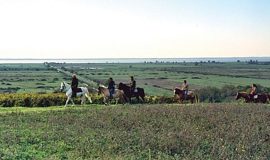 Route des Cardinaux en Pays de Haute-Saintonge