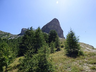 Rochecline