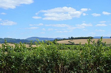 Sur les Hauteurs de Laizy