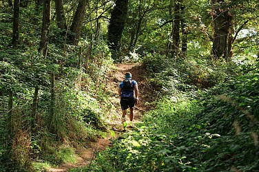 Circuit trail n°8 - Tour des 4 étangs