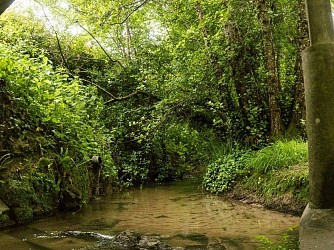 Boucle Meynac/ Quinsac