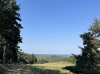 Circuit du Ras Chambon - VTT n°8
