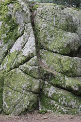 Le sentier des Fées