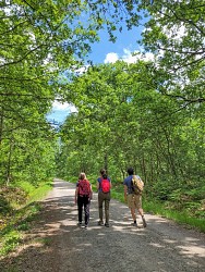 PR 2 : Parcours de la forêt de Bagnolet