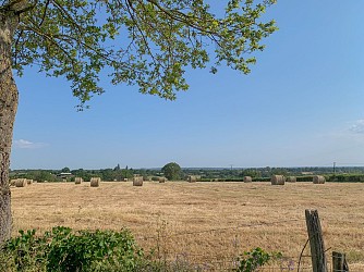 PR 17 : Circuit de la Brunanse - Les Nouettes