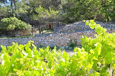 4 / Bize Minervois : La Garena