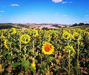 BOUCLES DE LA COQUE ET DE LA CHAPELLE DE MAILHOLAS
