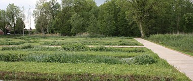Chaponnay - Boucle de Flassieux