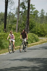 Boucle vélo de St Jacut les Pins n°14