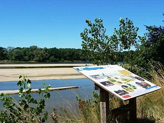 Les Iles de Bonny