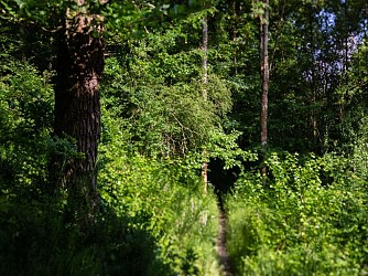 Sentier nature du bois des Amis de Jean Bosco