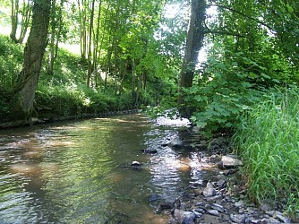 Le chemin des Etalards