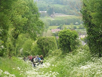 LE-MESNIL-MAUGER : Les Trois clochers - 7,8KM