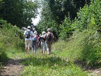 MONTVIETTE : La Canteraine - 7,4KM