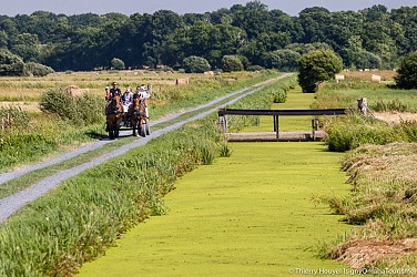 Les Marais de l'Aure