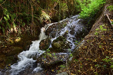 Circuit de la Calonne