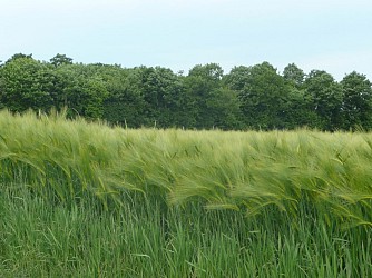 Circuit des trois forêts