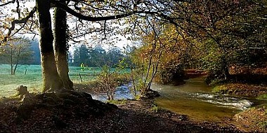 La Route des Abbayes à cheval - Etape 4/5 : Abbaye d'Hambye - Abbaye de la Lucerne d'Outremer