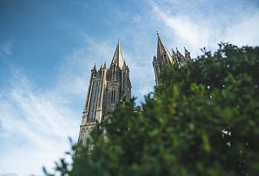 Le chemin des Tancrède