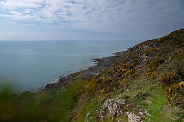GRP 4 Les belvèdères du Mont-Saint-Michel - de Carolles à Avranches