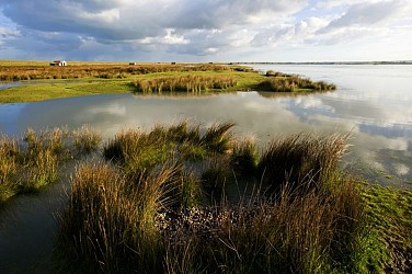 Les chemins du Mont-Saint-Michel - Chemin de Cherbourg - Hauteville-sur-Mer - Granville