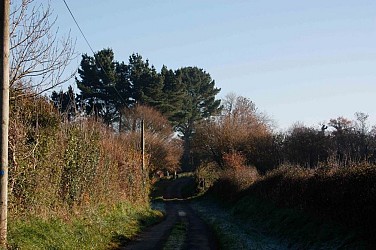 Promenade du CAUE "des arbres conteurs"
