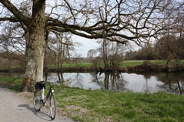 Promenade du CAUE "La Vire d'arbres en arbres"