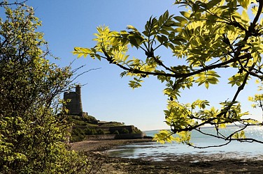 Le Vast < > Saint-Vaast-La-Hougue