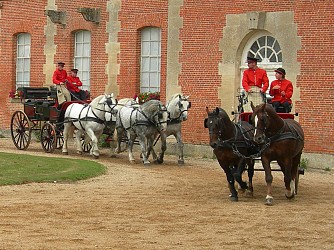 La boucle du Pin, randonnée à pied au Versailles du cheval - Le Haras national du Pin