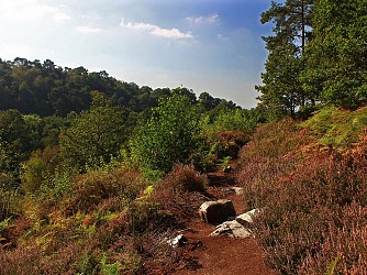 Randonnée à pied Les gorges de Villiers
