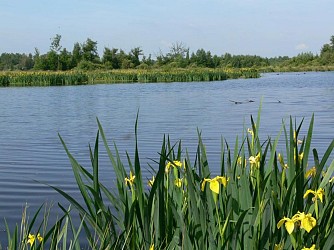 A vélo - La campagne de Briouze