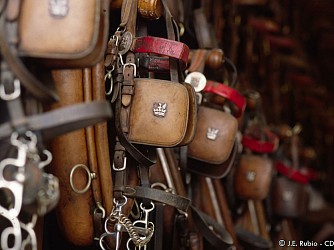A vélo - Le Haras du Pin - Chambois
