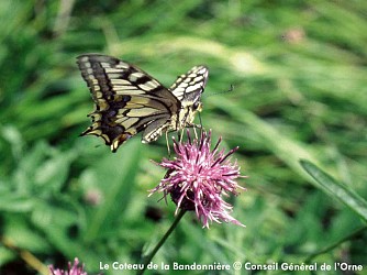 Sentier du Coteau de la Bandonnière