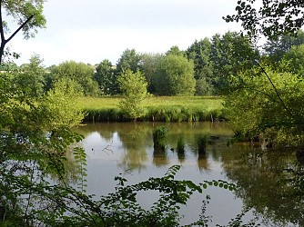Sentier de l'Etang du perron