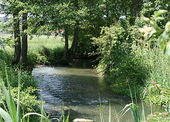 Sentier Les Pâtures à Argentan