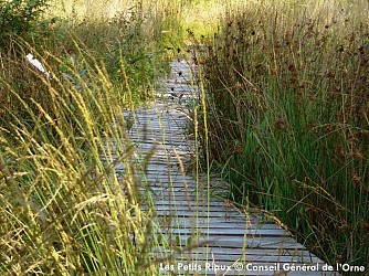 Sentier de la Tourbiere des petits riaux
