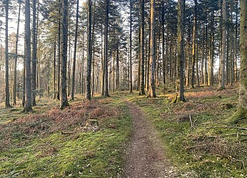 Le Camping - Station de Trail® du Massif d'Ecouves