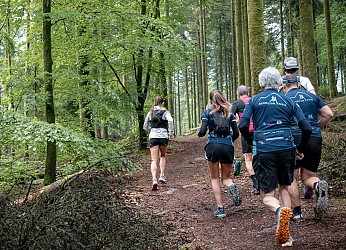 Les Petits Bois - Station de Trail® du Massif d'Ecouves