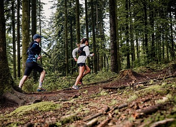 Le Signal d'Ecouves - Station de Trail® du Massif d'Ecouves