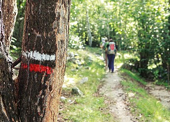Berjou de haut en bas randonnée à pied en Suisse Normande