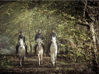 Le Nouveau Monde à cheval