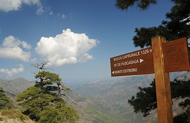 Le Sentier de la Transhumance étape 3 - Du refuge de Puscaghja à Mont'estremu