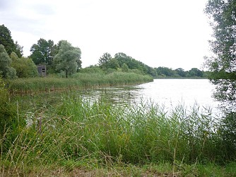 L'étang d'Amel