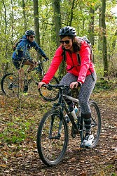 Les bois de la Cochardière